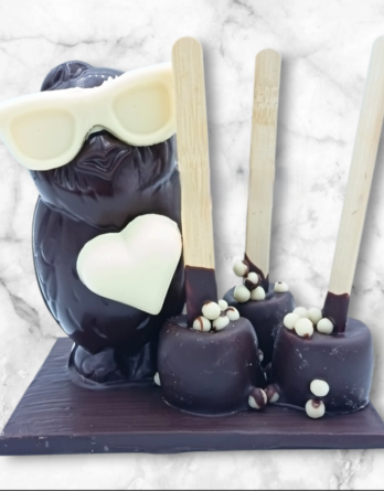 Montage Chouette Chocolat Noir 150 g