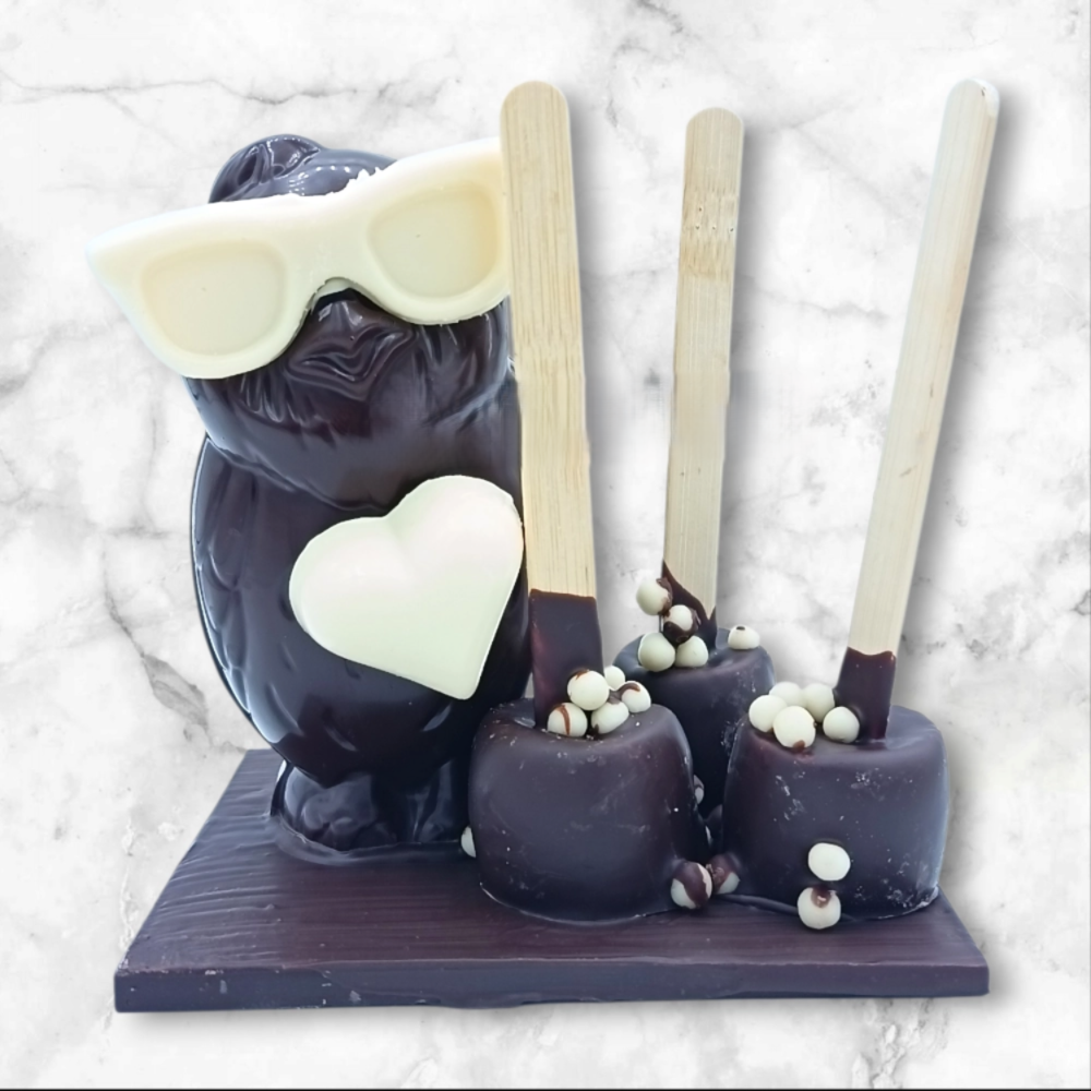 Montage Chouette Chocolat Noir 150 g