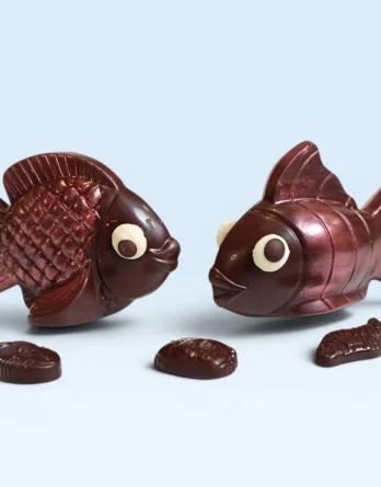 Chocolat noir