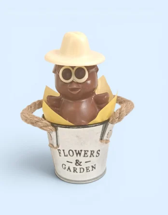 poussin chocolat au lait